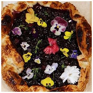 Blueberry Galette